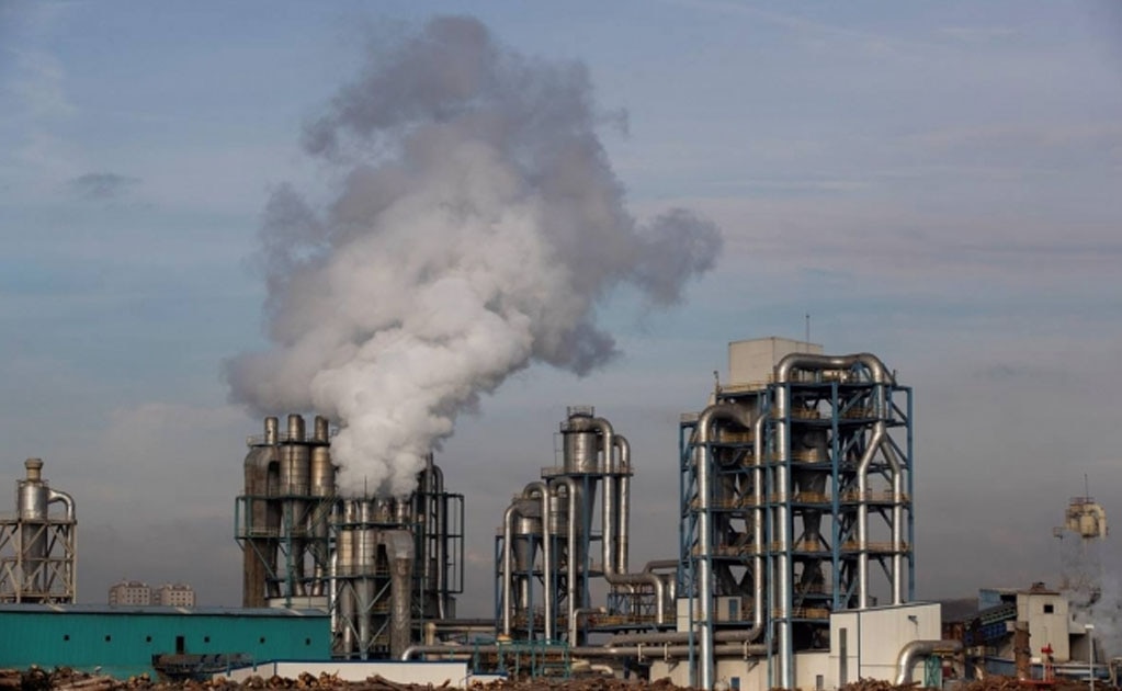 El cambio climático daña la salud humana, advierte la OMS (Foto: EFE)