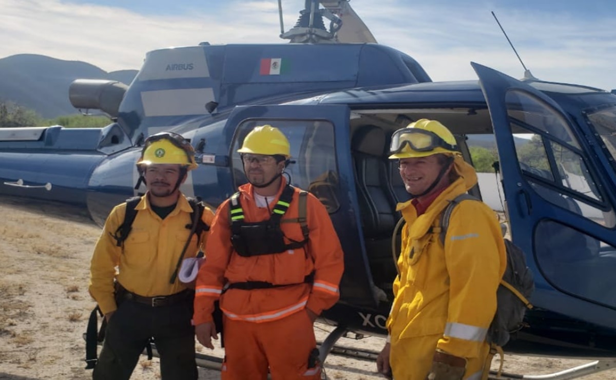 Brigadistas recuperan control en combate a incendio forestal en Villa de Guadalupe
