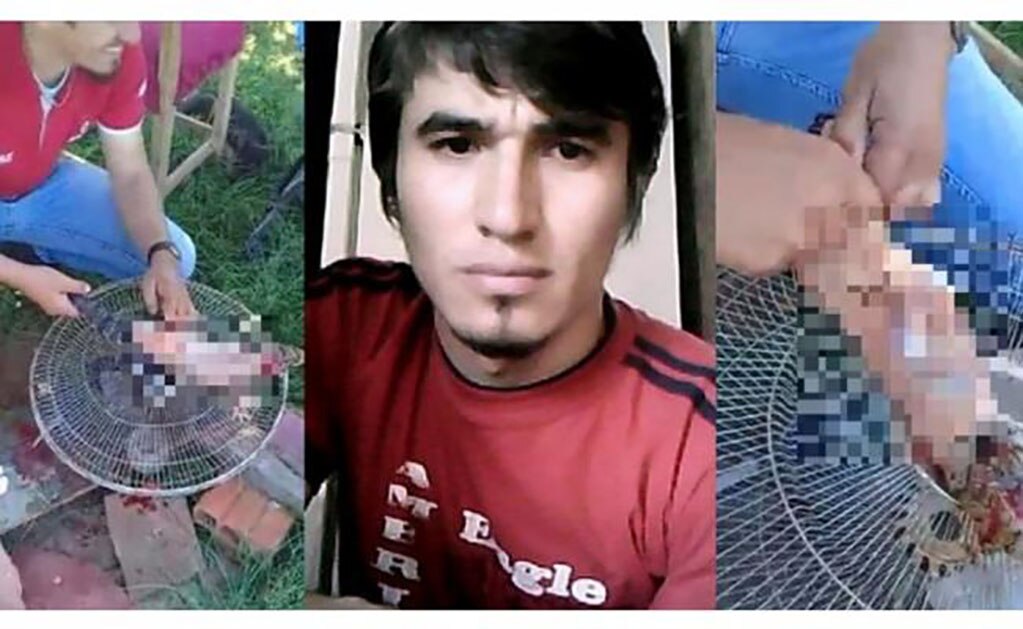 Paraguayo desuella vivo a un lagarto y publica el video; pagará multa de 70 mil dólares