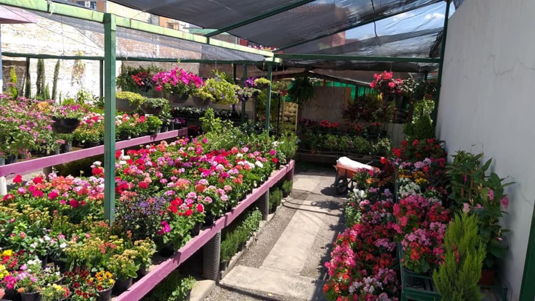 Vivero El Edén, en SLP. Foto: Fb@ Vivero el Eden