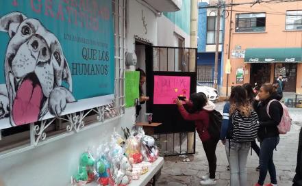 Artista transforma sus dibujos en ayuda para perros abandonados en SLP 
