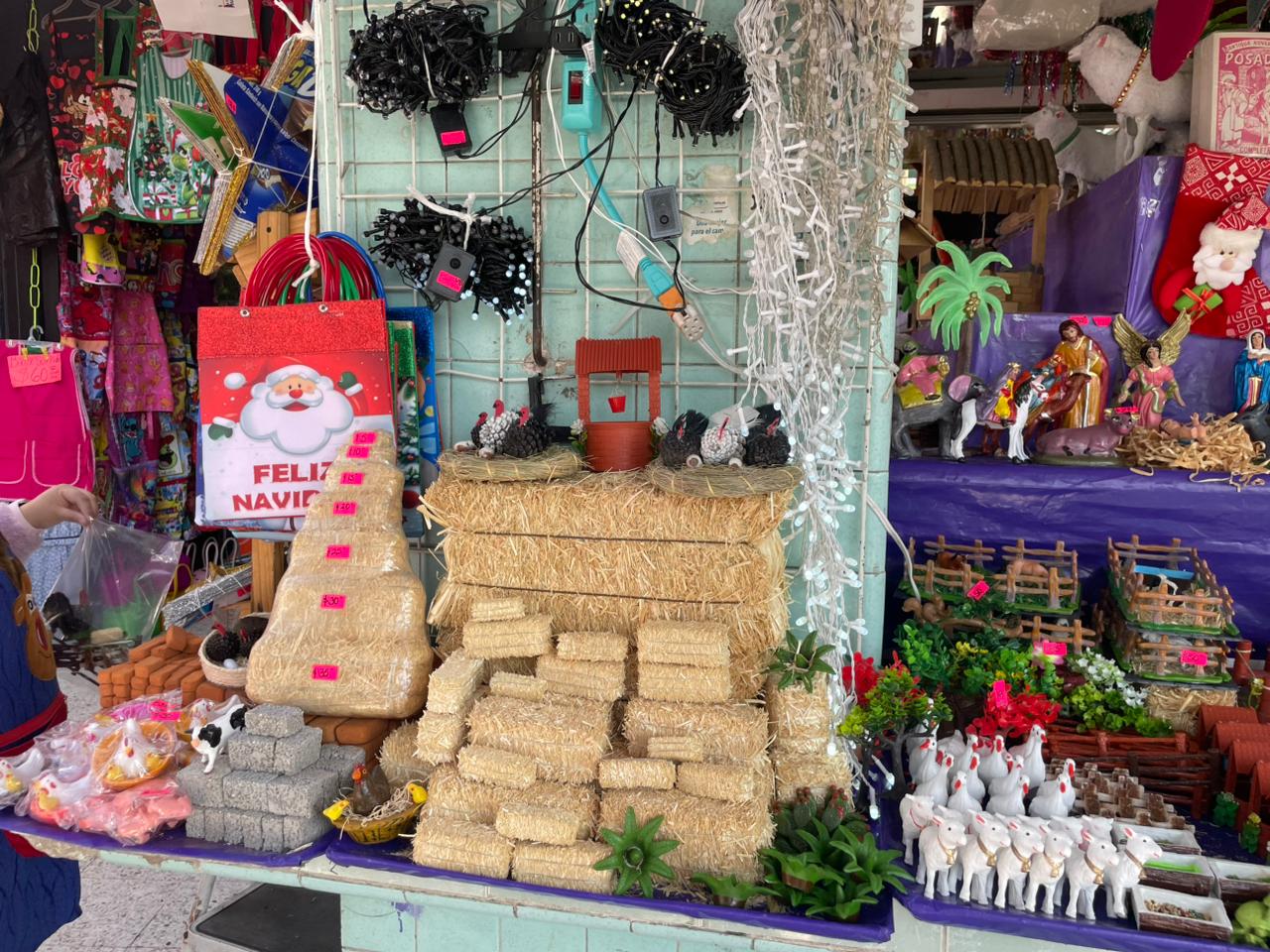 Foto: Humberto Torres EL UNIVERSAL