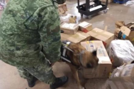 Sedena asegura 27 litros de metanfetamina en aeropuerto de SLP