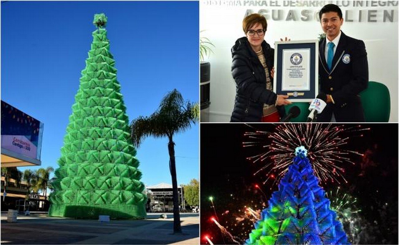  Aguascalientes recibe Récord Guinness por árbol navideño más alto con material reciclado