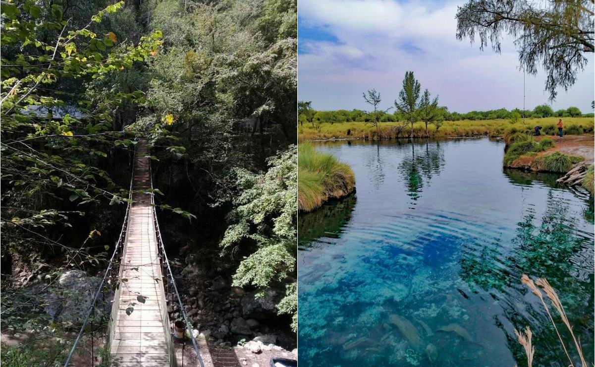 Grutas de la Catedral y Los Peroles, un par de joyas naturales en Rioverde. Fotos: Especiales