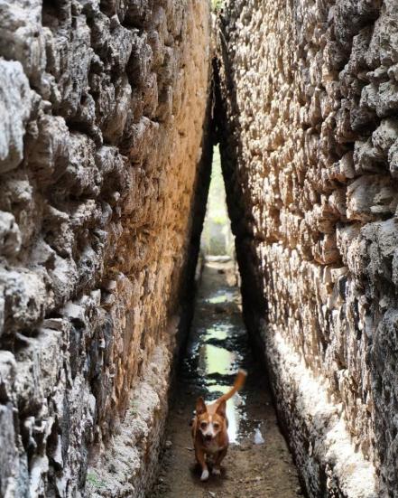 Ruta del Llano, un imperdible turístico de San Luis Potosí en Semana Santa