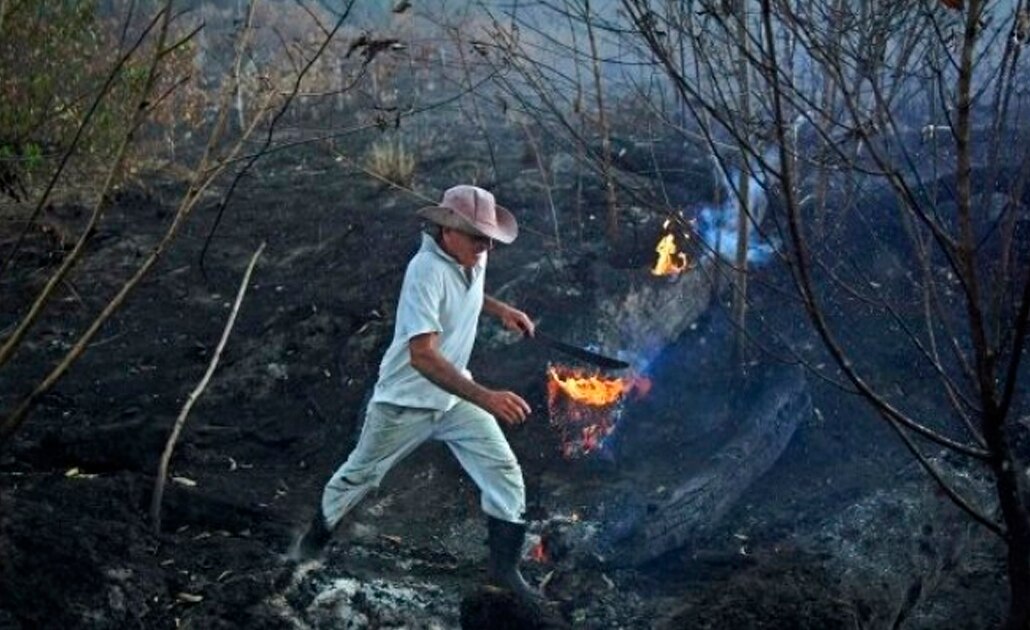 Foto: BBC | El Universal