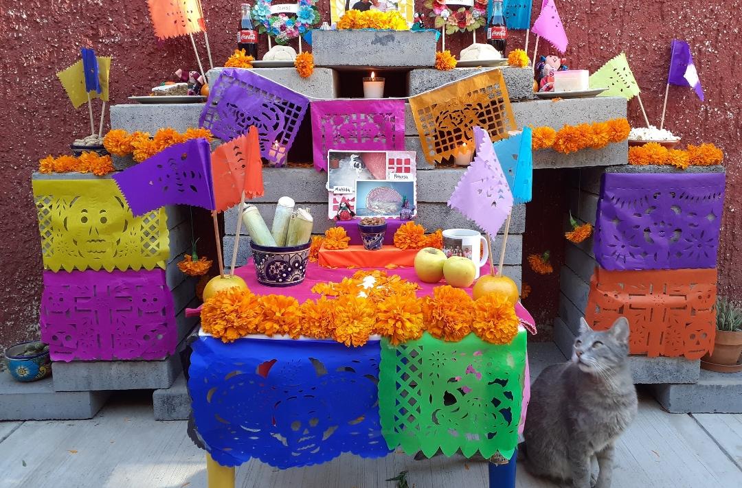 Día de Muertos el 27 de octubre: ¿Qué poner en el altar de mascotas?