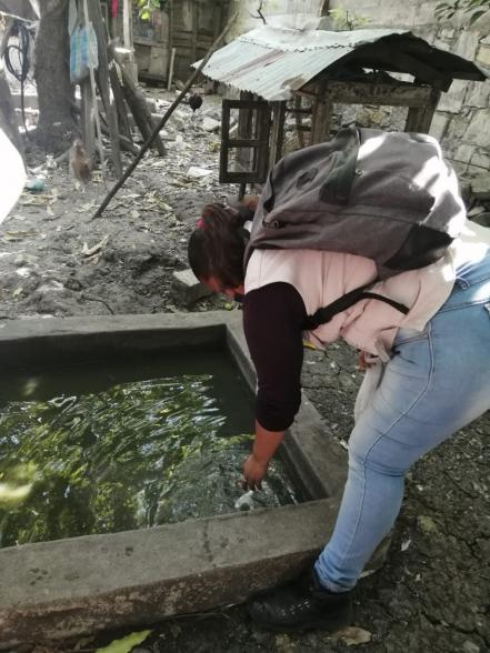 Advierte Sector Salud sobre riesgos de transmisión por Covid y dengue