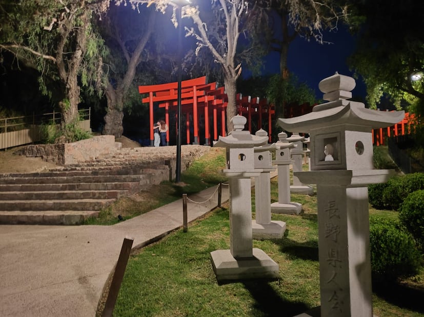 Foto: Regina Arellano