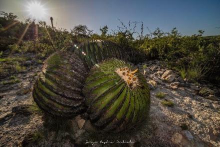 Lanzan Ruta del Llano, programa de turismo rural en la zona Media de San Luis Potosí