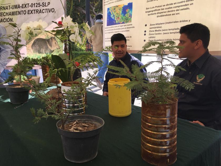Presentan estudiantes proyectos de agronegocio