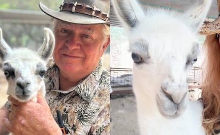 Nace una llama bicolor durante celebración por los 30 años del zoológico de Mexquitic