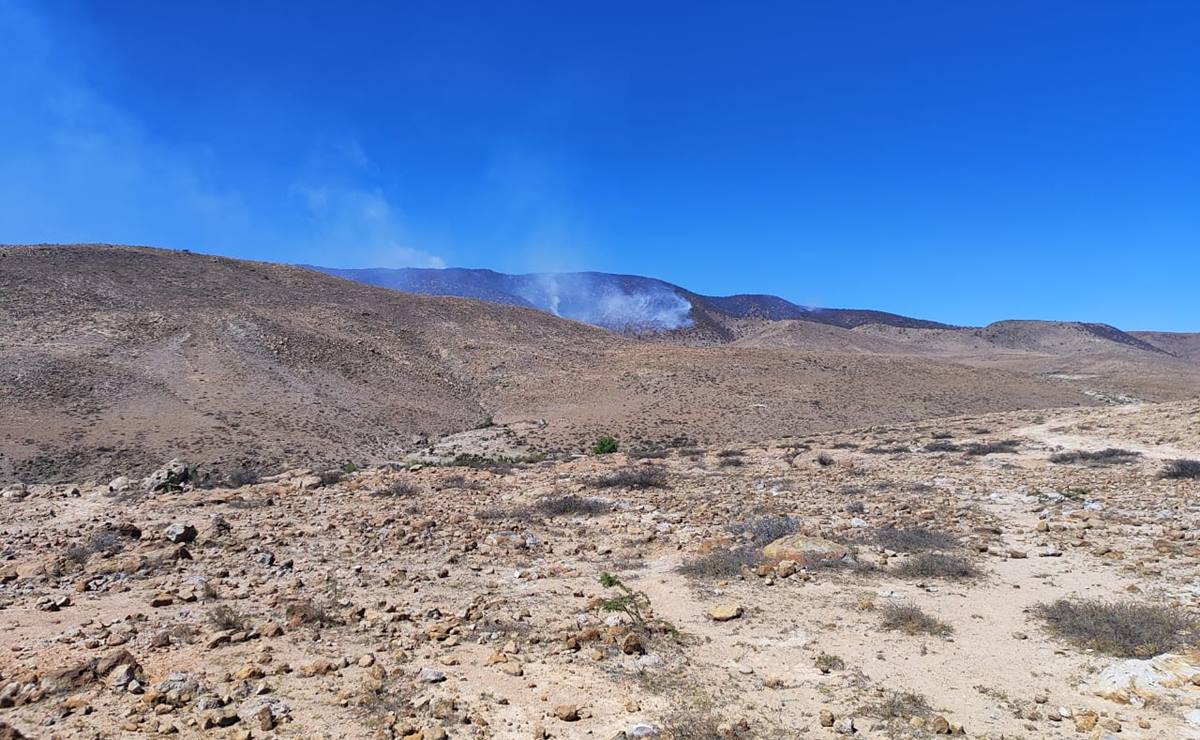 Para mitigar incendio de Sierra de San Miguelito, SLP pedirá apoyo a la Marina