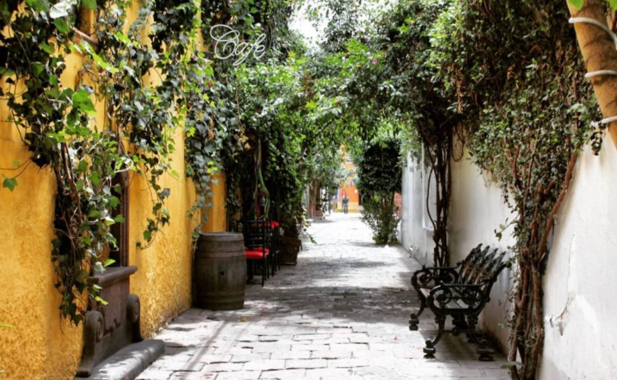 En la actualidad, el Callejón del Cariño se ha convertido en uno de los lugares más visitados por los amantes del pulque . Foto: Tomada de Instagram  @ixkozauki