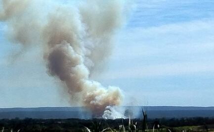 Incendios sofocan varias zonas del municipio de Ciudad Valles, SLP