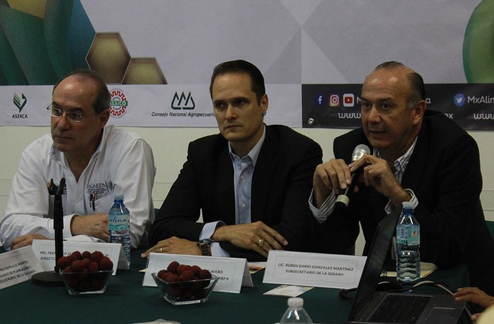 Campo mexicano “no está en el abandono”: Santos Ward