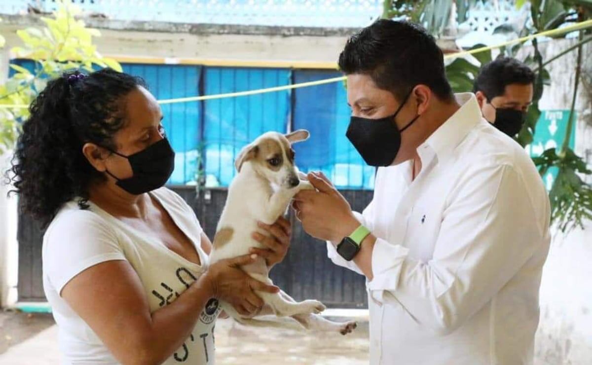 RICARDO GALLARDO INSTRUYE INVESTIGAR CASO DE MALTRATO ANIMAL EN LA CAPITAL  