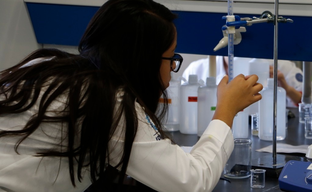 Planta “Gobernadora” podría ser útil para complicaciones diabéticas de acuerdo a investigadores