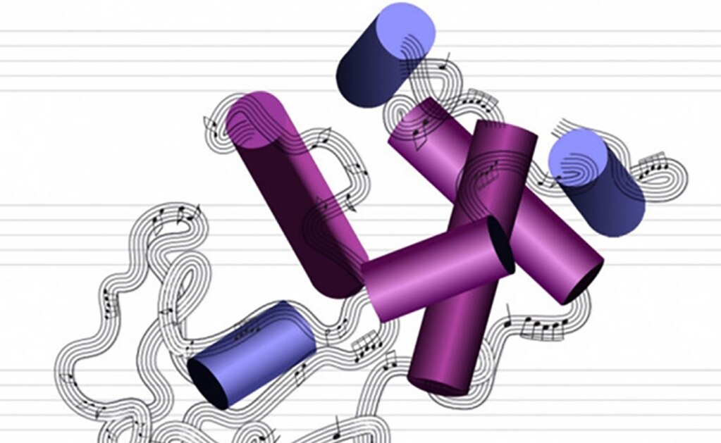 Logran convertir proteínas en música