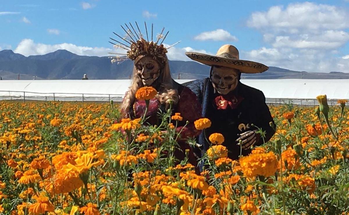 Xantolo llega a Soledad con recorridos de terror, catrinas, música tradicional y más de 800 artistas