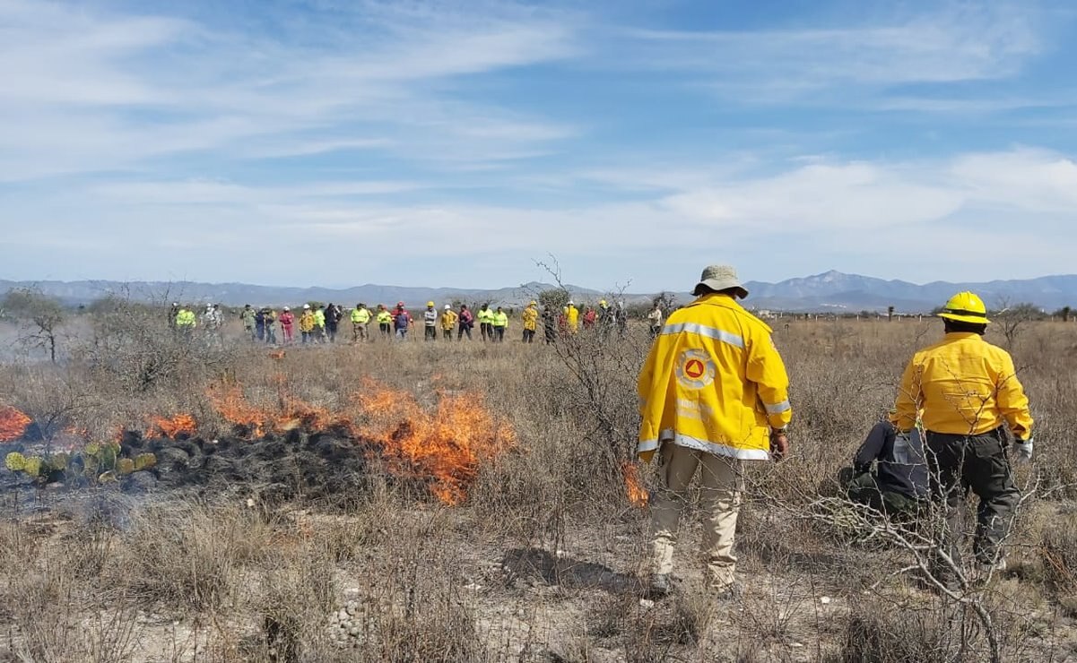 Sigue capacitación de brigadas para atender incendios forestales: Protección Civil en SLP