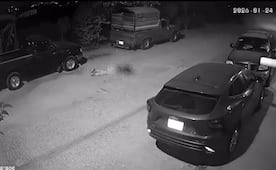 Alerta en la capital de SLP tras video en el que mujer es lanzada de un auto y abandonada en la calle