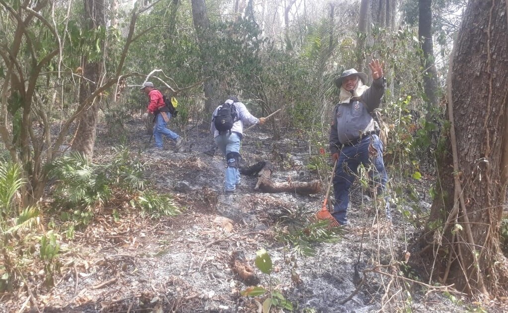 Incendio forestal en Wirikuta, sofocado al 100%: secretario General de Gobierno de SLP