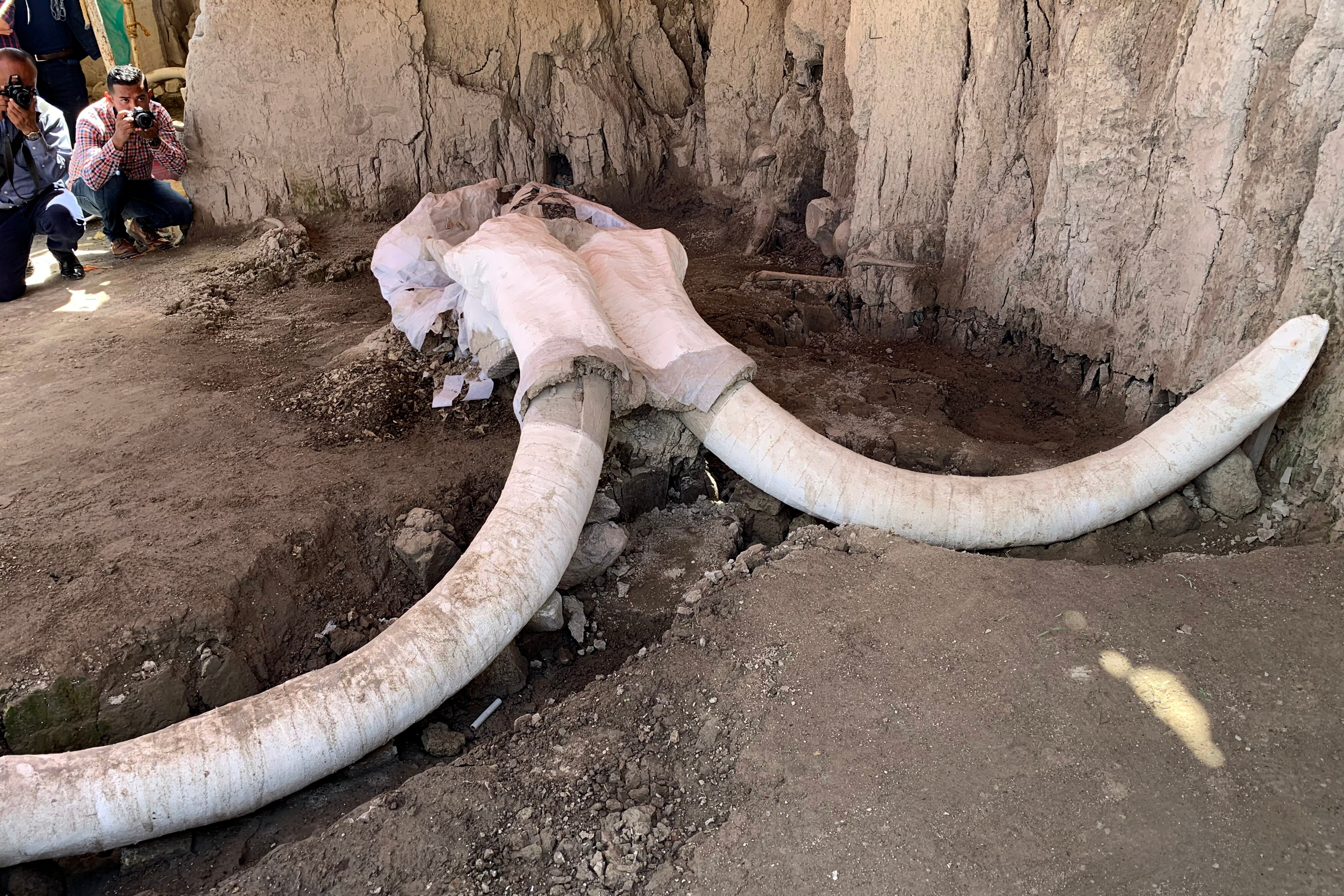 Primera trampa de mamut en el mundo es localizada en Tultepec