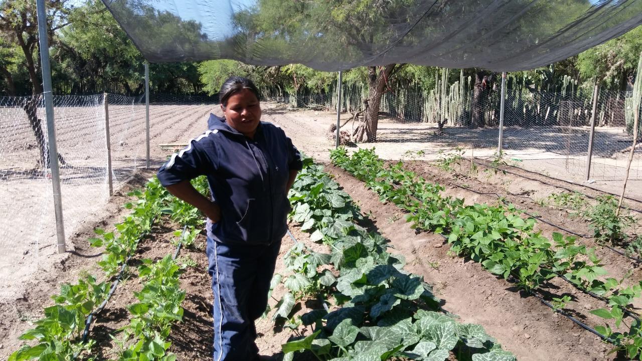 Empoderar a las mujeres, crucial para avanzar en la lucha contra la pobreza: SEDARH