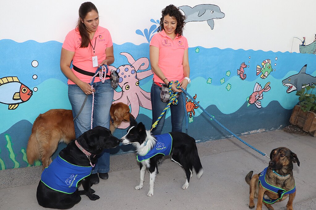 Impartirán programa de adiestramiento canino