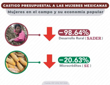 Con recortes en empleo, campo y cambios en sector salud, gobierno federal afecta a las mujeres
