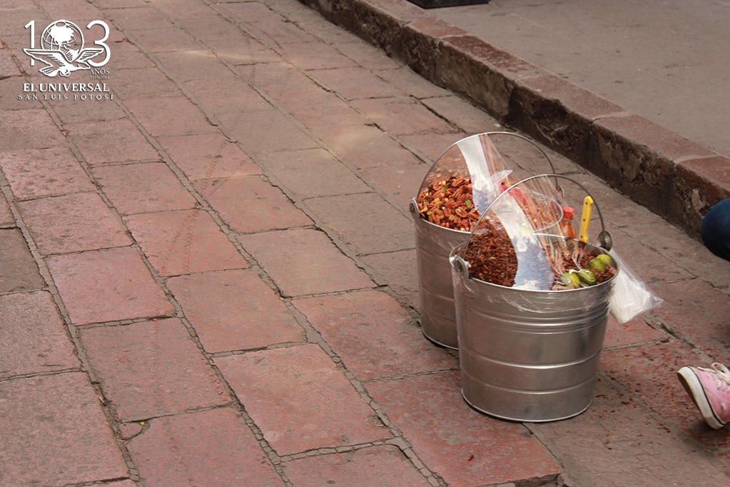 Cifra de vendedores ambulantes se mantiene en mil 102: Rosillo Andrade