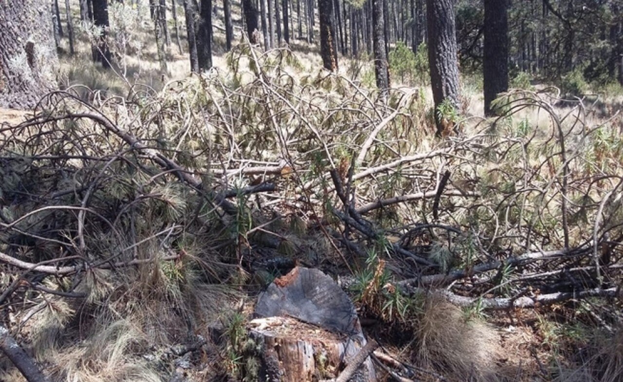  Incendios consumen más de 100 hectáreas del Pico de Orizaba