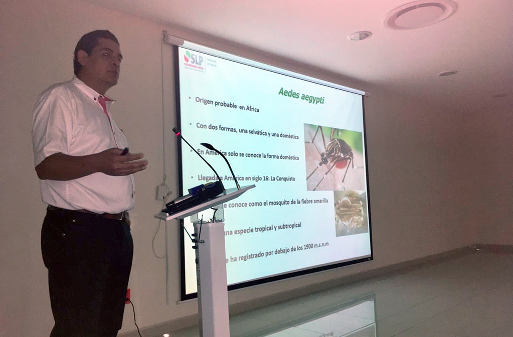 “Dengue no será erradicado”, advierte Salud