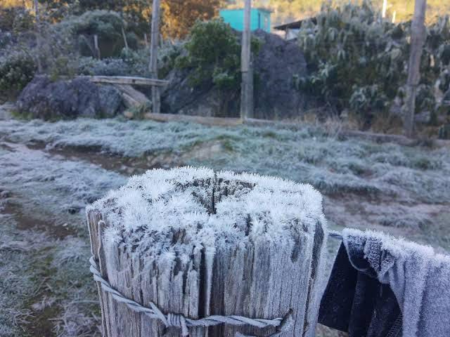 ¿Dónde ha nevado en SLP? Real de Catorce, Sierra de Álvarez, Xilitla y más. Foto: Especial
