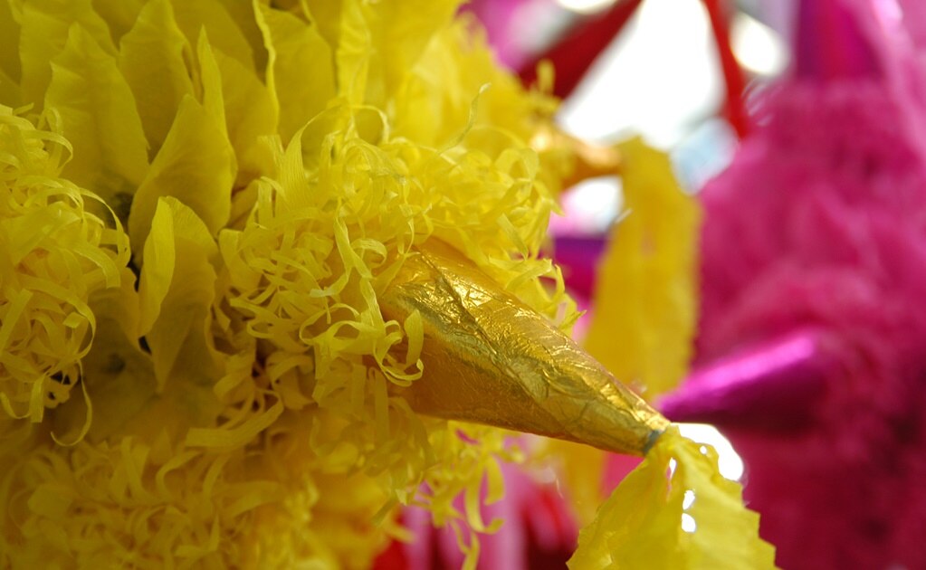 Foto: Archivo. EL UNIVERSAL