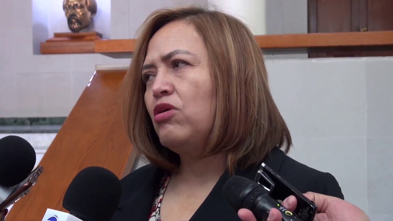 Faltan juzgados especializados de justicia para mujeres: Martha Orta