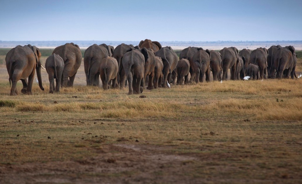 Foto: EFE | El Universal