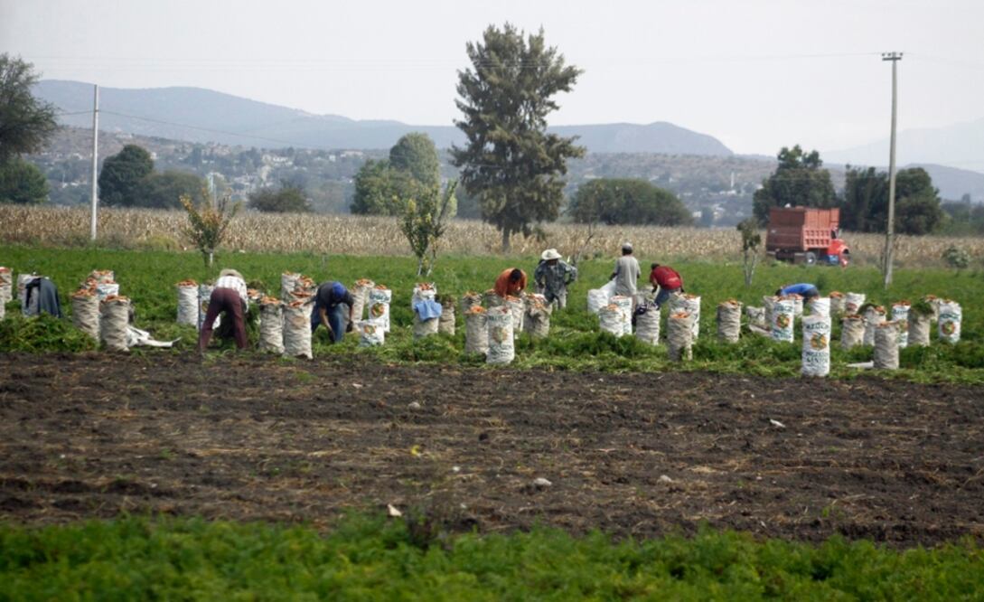 Foto: Archivo El Universal