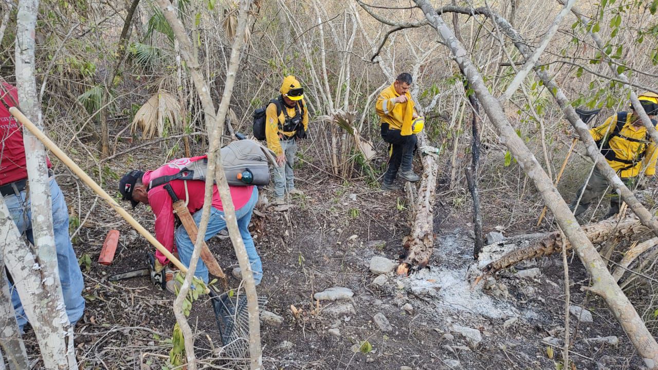 Incendio forestal en Ciudad Valles ha sido controlado en un 70%