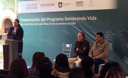 "Sembrando Vida" reforestará la Huasteca y Sierra de San Miguelito