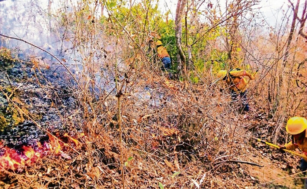Incendios forestales se concentran en centro y sur del país
