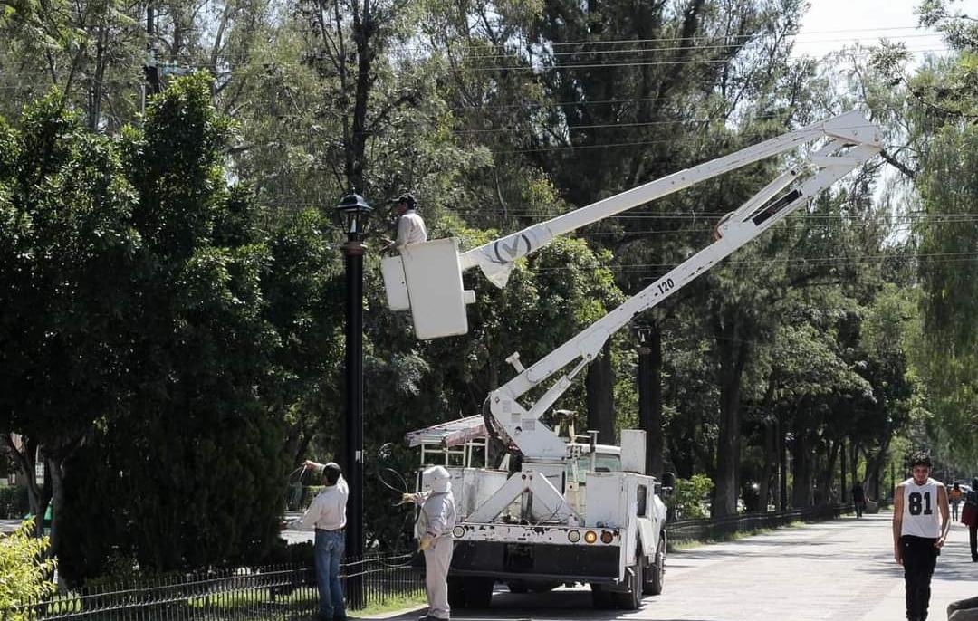 Ayuntamiento de San Luis Potosí adquirirá nuevos vehículos operativos