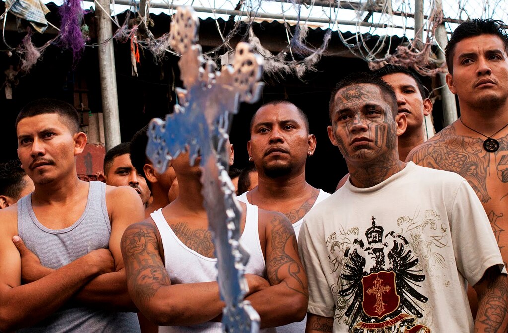 Foto: Archivo. El Universal San Luis Potosí.