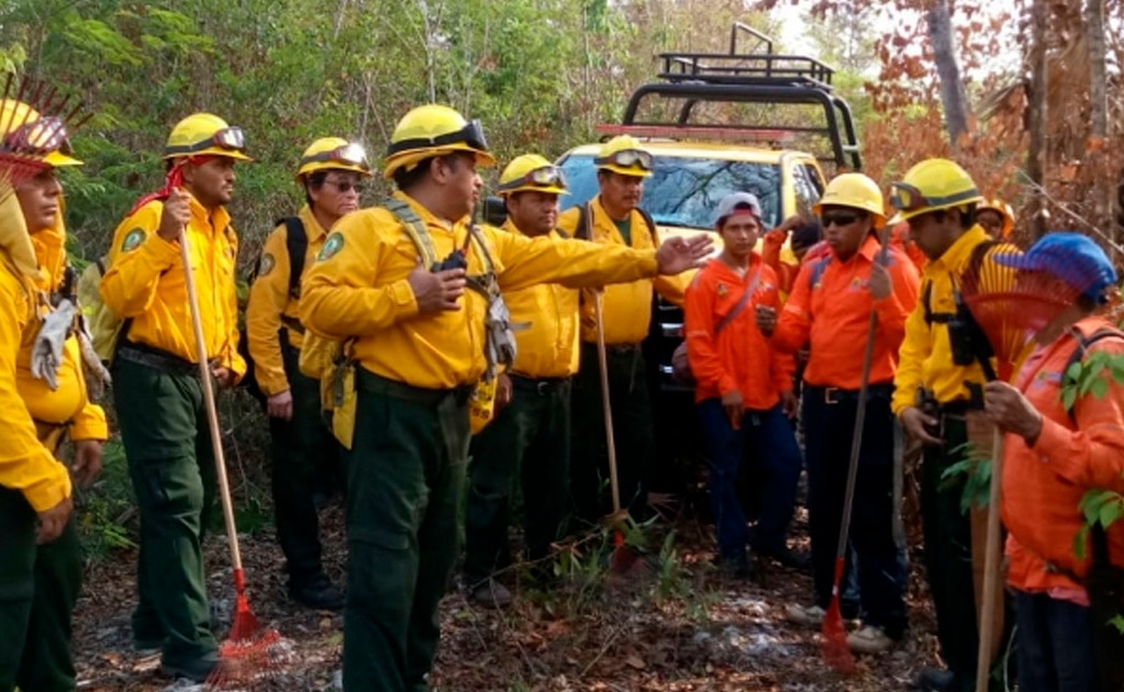 Registra Conafor 115 incendios forestales en el país; 58 están activos