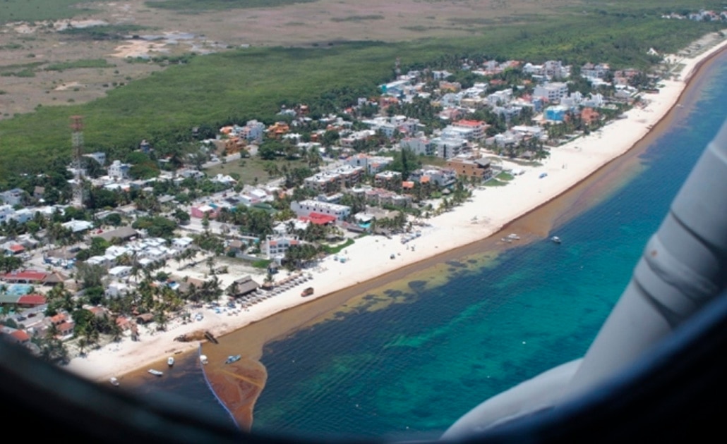 Semar recolecta 38 mil toneladas de sargazo en playas del caribe mexicano