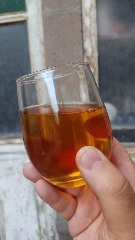 La hidromiel potosina que busca ser más que la "bebida de los dioses"