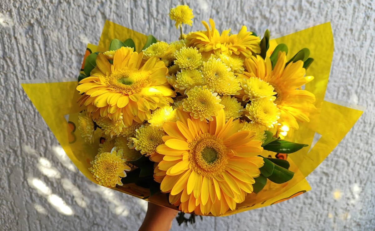 ¡Hoy entra la primavera! Potosinos adoptan la tendencia de obsequiar flores amarillas