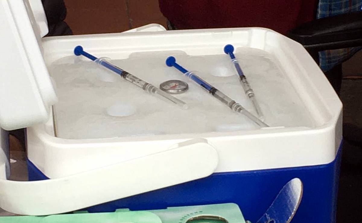 Arranca nueva jornada de vacunación contra Covid para rezagados en todo SLP